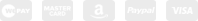 Payment method icons in grayscale