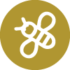 Buy Raw Honey