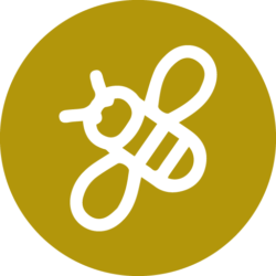 Buy Raw Honey